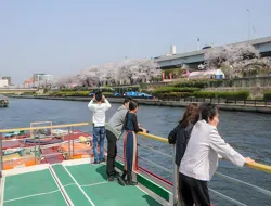 Asakusa Yakatabune Cruise with Meals & Drinks